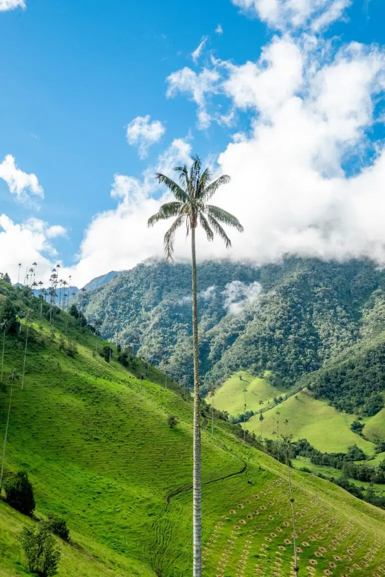 Groepsreis Colombia - reizen Colombia - Rondreizen Colombia - 22 daagse rondreis Colombia - Soloreizen in Colombia