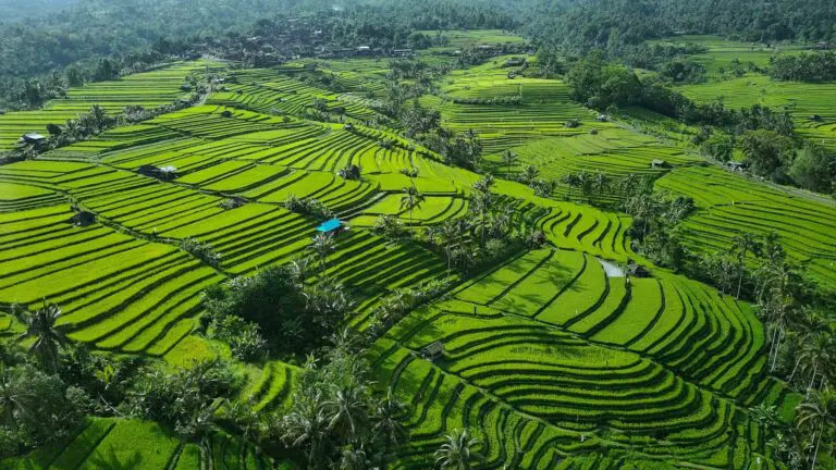 beste reistijd bali - groepsreis bali - rondreis bali