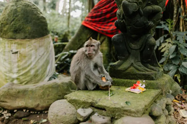 beste reistijd bali - rondreis bali - groepsreis bali - rondreis bali