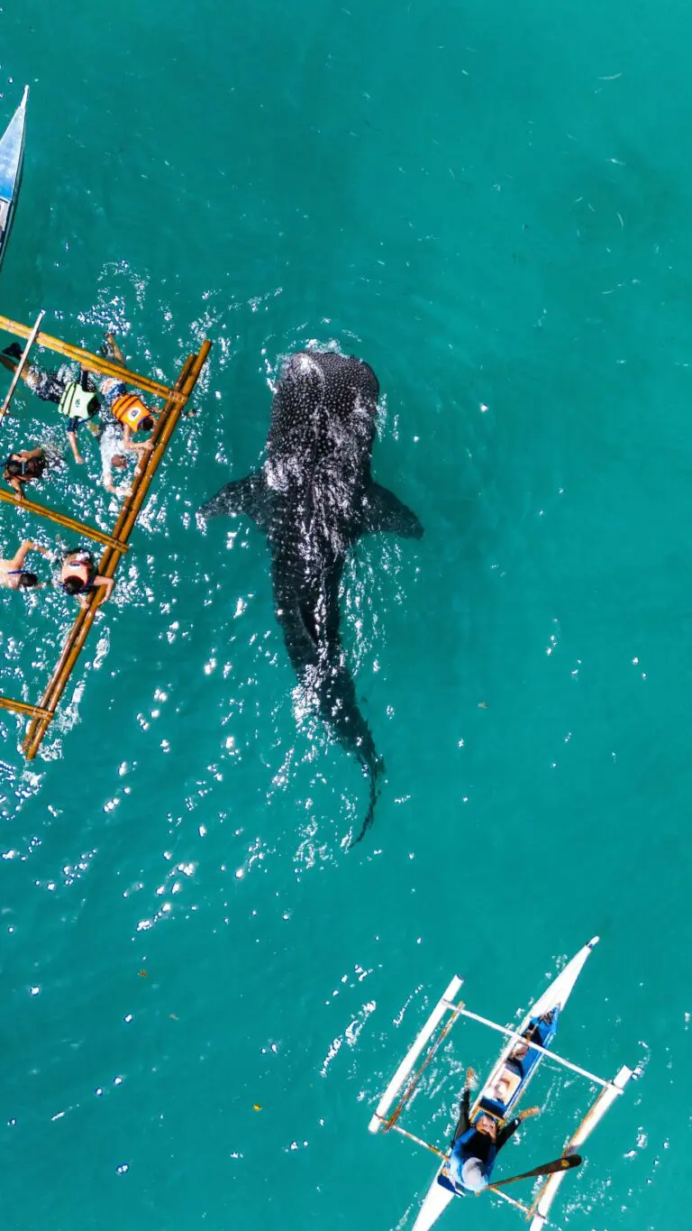 groepsreis Filipijnen - rondreis Filipijnen - Filipijnen reis