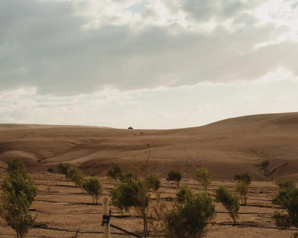 Groepsreis Marokko - Marokko reis - Rondreis Marokko - Soloreis Marokko
