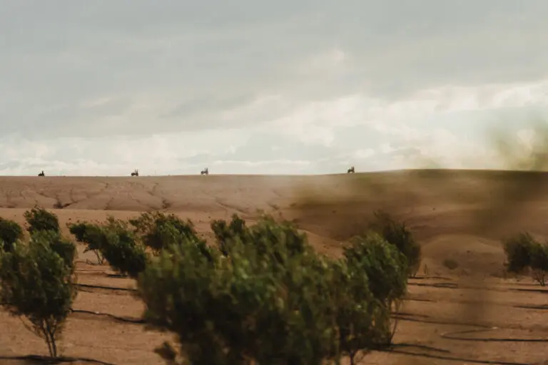 Groepsreis Marokko - Marokko reis - Rondreis Marokko - Soloreis Marokko