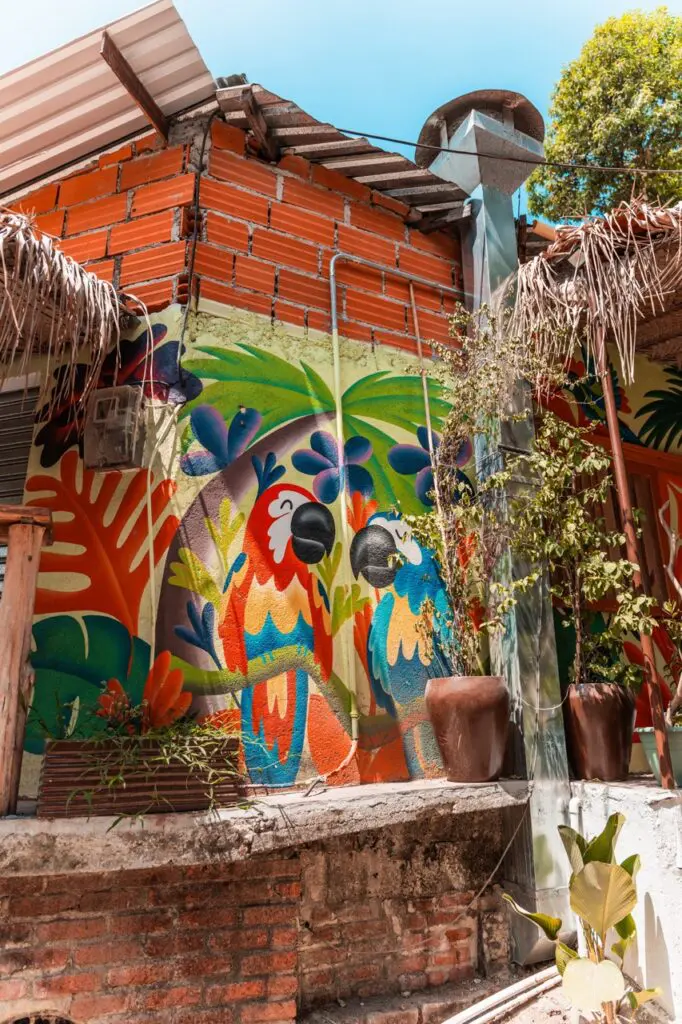 groepsreis colombia - rondreis colombia - cocora valley colombia - weadventures colombia