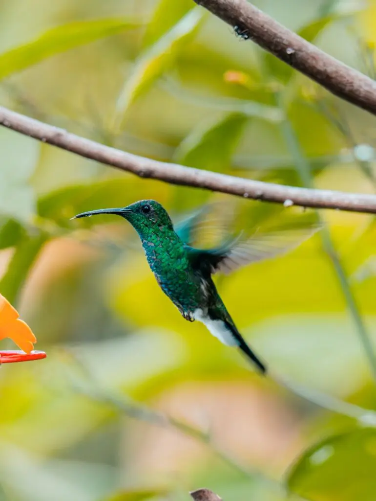 groepsreis colombia - rondreis colombia - cocora valley colombia - weadventures colombia