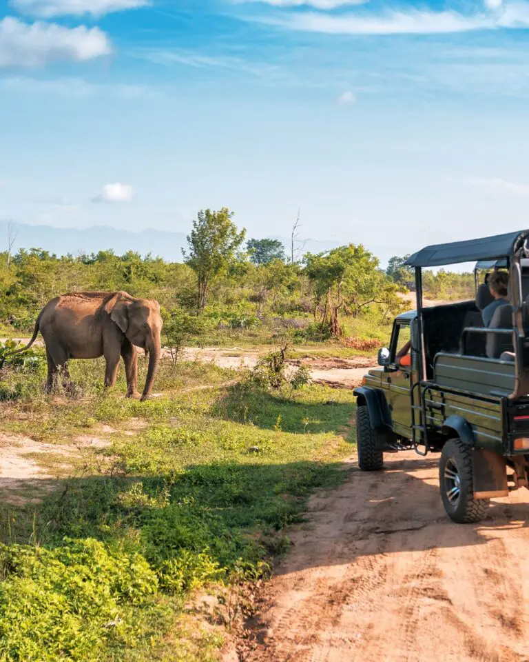 Groepsreis Zuid-Afrika - Rondreis Zuid-Afrika - Zuid-Afrika Soloreis