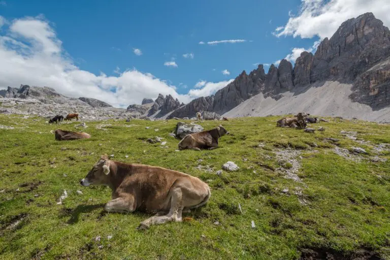 Groepsreis Dolomieten - Trektocht Dolomieten - Solo trek Dolomieten
