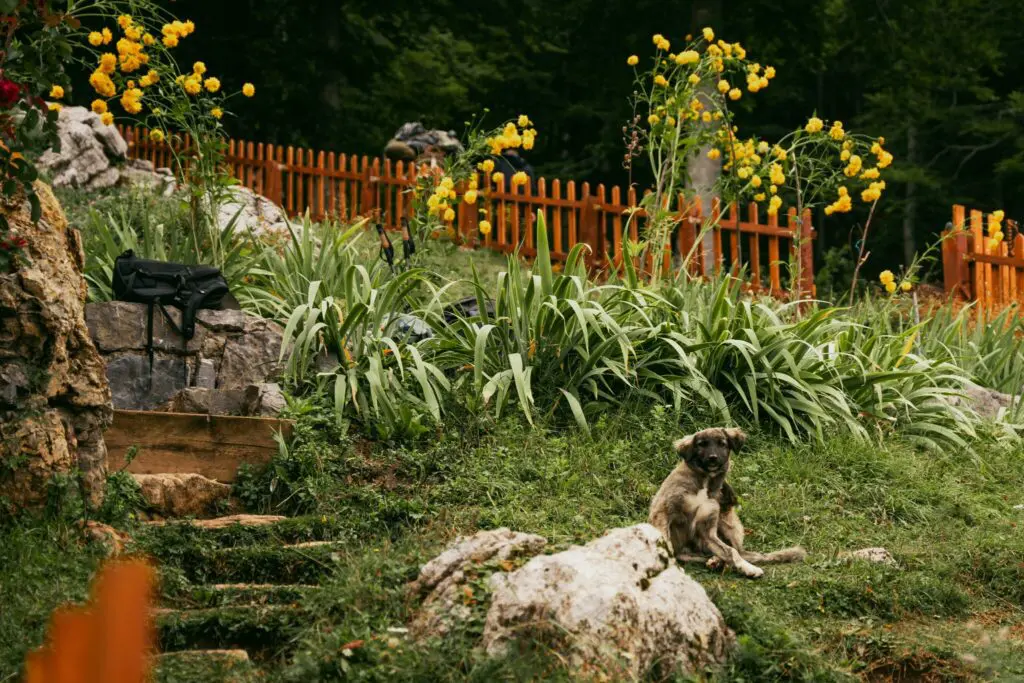 Groepsreis Balkan - Rondreis Balkan - Wandelreis Balkan - Trektocht Balkan