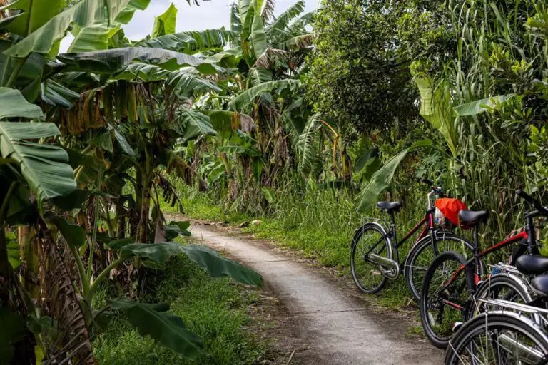 Groepsreis Vietnam - weadventures Vietnam - Rondreis Vietnam