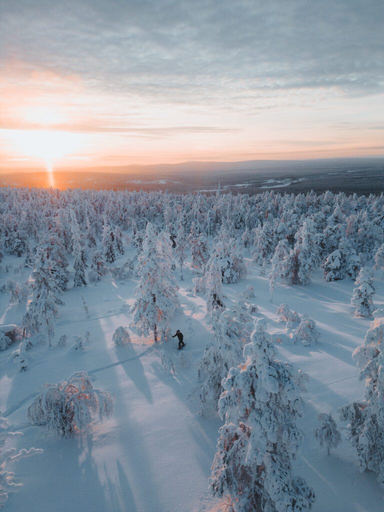 Groepsreis Lapland - natuur