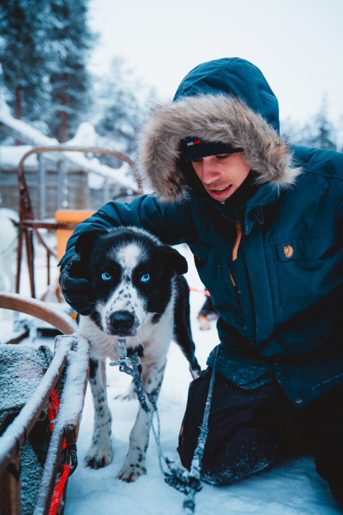 Groepsreis Lapland - husky