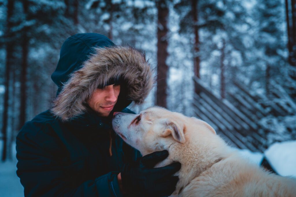 Groepsreis Lapland - husky