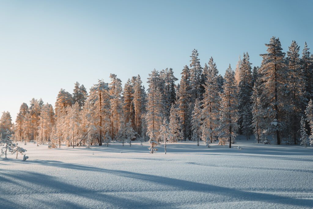 Groepsreis Lapland - natuur