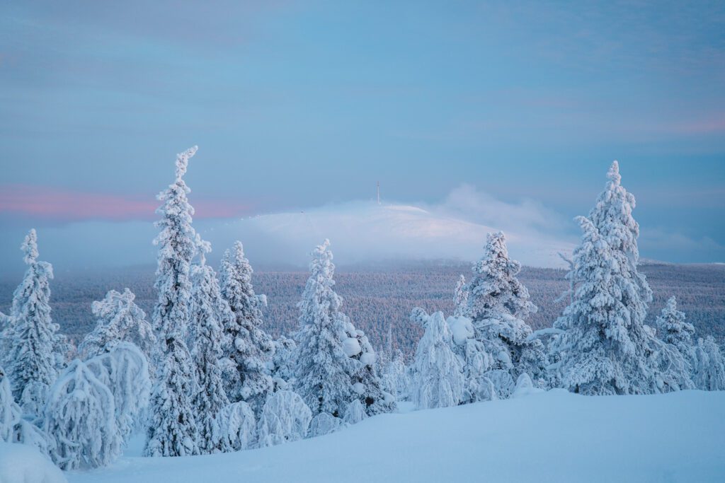 Groepsreis Lapland - natuur