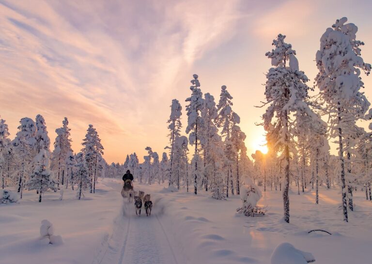 Groepsreis Lapland - sneeuwtocht