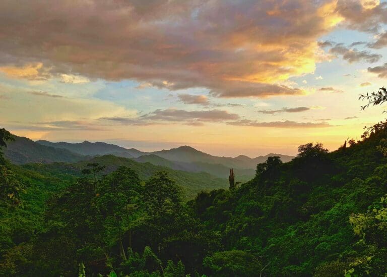 Colombia Minca