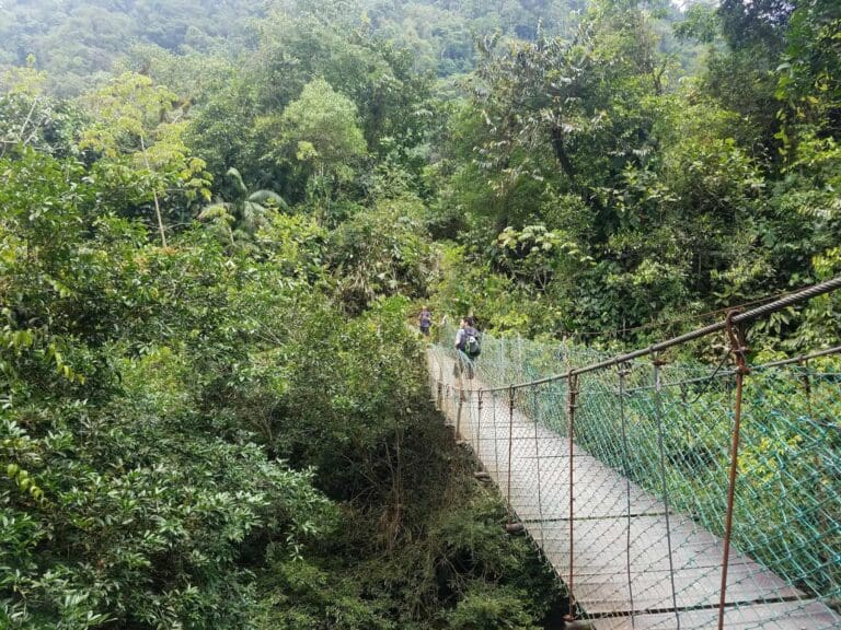 groepsreis colombia - rondreis colombia - cocora valley colombia - weadventures colombia - lost city colombia