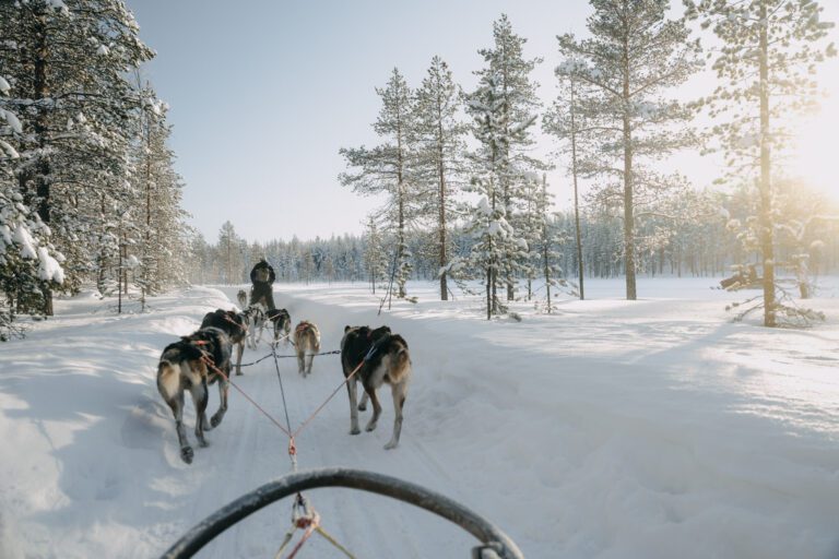 Groepsreis Lapland