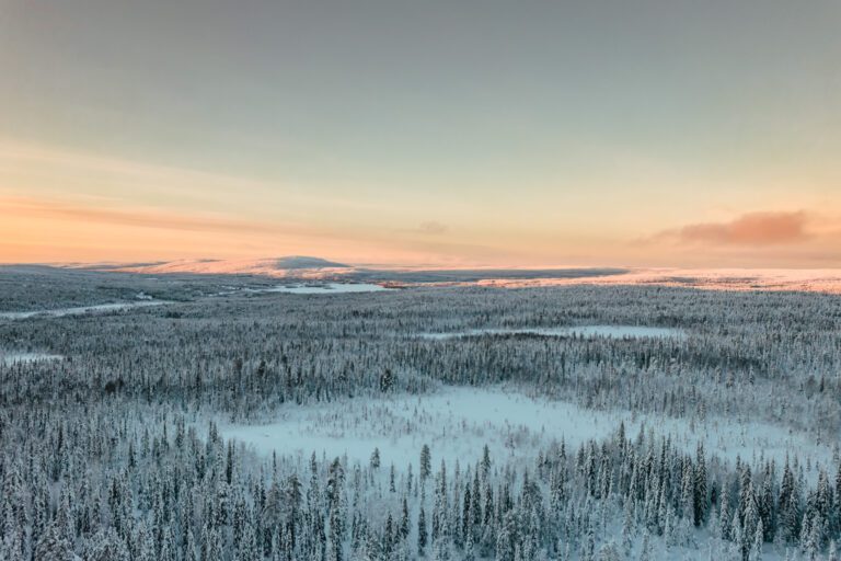 Groepsreis Lapland