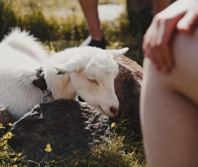 Groepsreis Noorwegen kayak - rondreis noorwegen - beste reistijd noorwegen