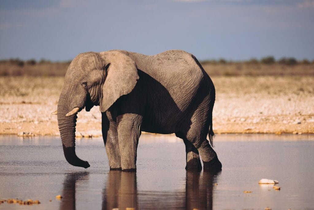 groepseis namibië - rondreis namibie - roadtrip namibie