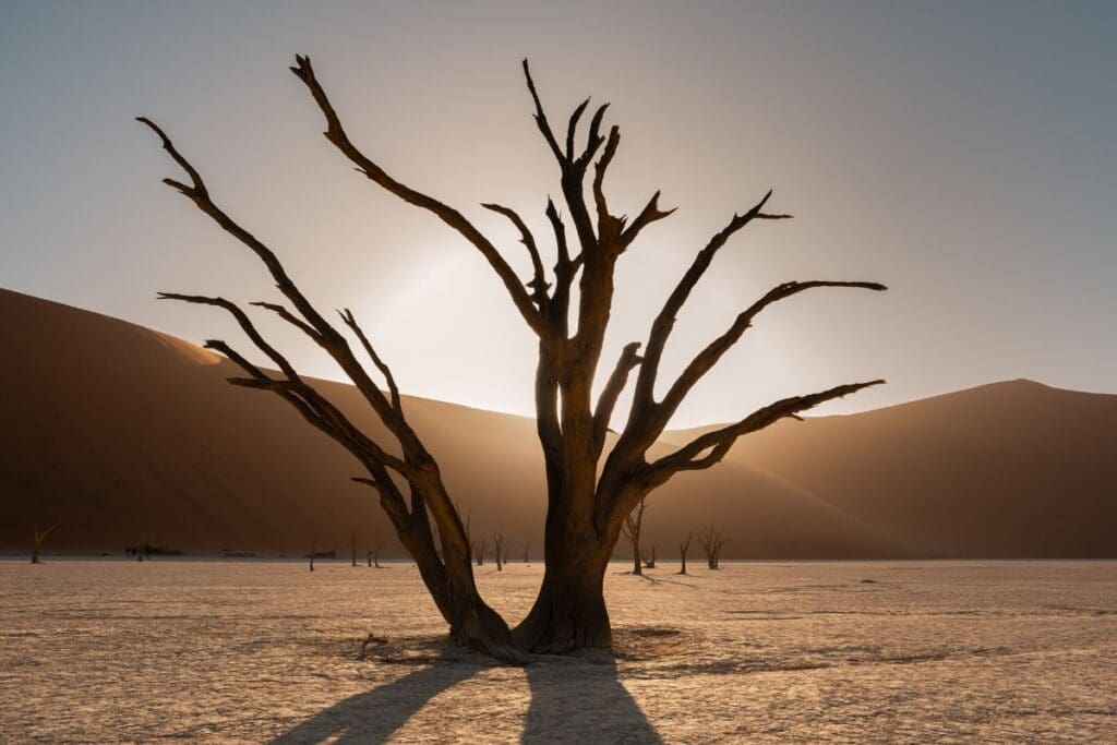 groepseis namibië - rondreis namibie - roadtrip namibie