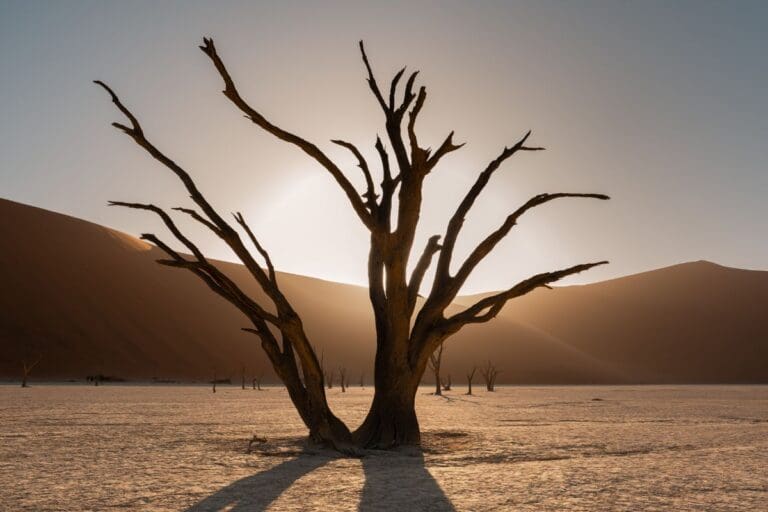 groepseis namibië - rondreis namibie - roadtrip namibie