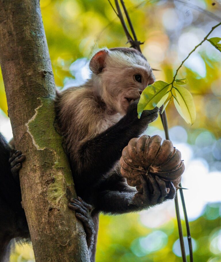 Groepsreis Colombia - reizen Colombia - Rondreizen Colombia - 22 daagse rondreis Colombia - Soloreizen in Colombia