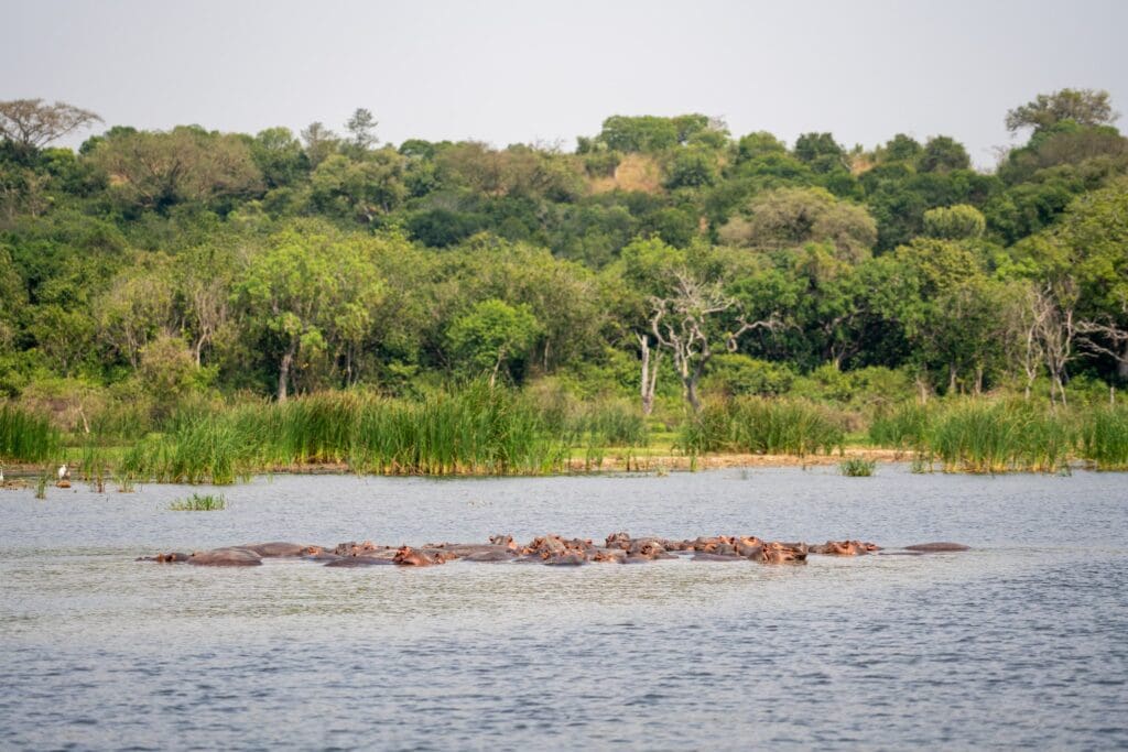 Groepsreis Oeganda - Rondreis Oeganda - 16 daagse rondreis Oeganda