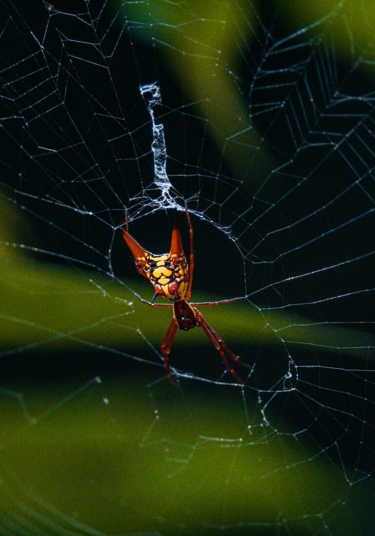 Groepsreis Costa Rica - Twee weekse rondreis Costa Rica - Avontuur Costa Rica -