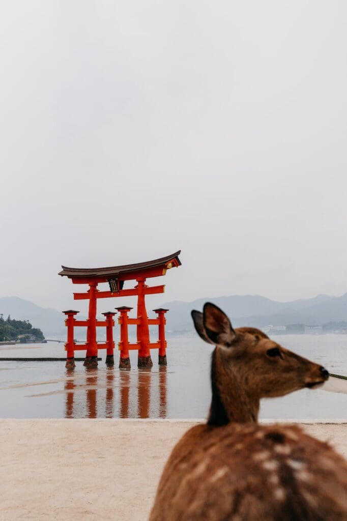groepsreis japan - rondreis japan - beste reistijd japan