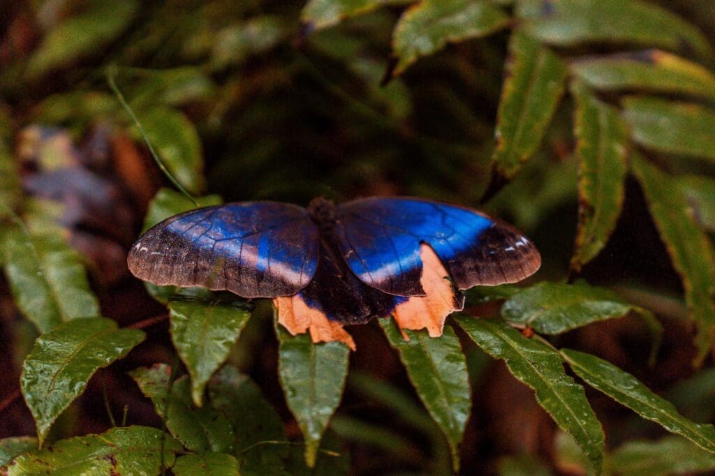 Groepsreis Costa Rica - weadventures Costa Rica - Rondreis Costa Rica