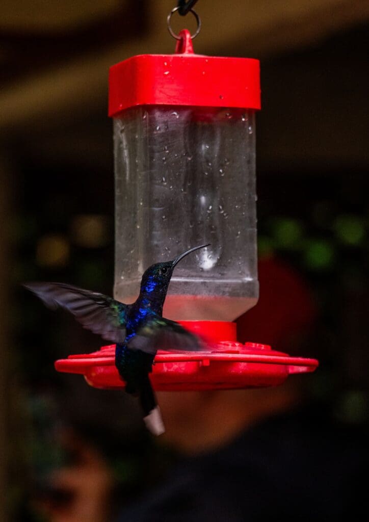 Groepsreis Costa Rica - Tweewekse Costa Rica reis- Avontuurlijk Costa Rica