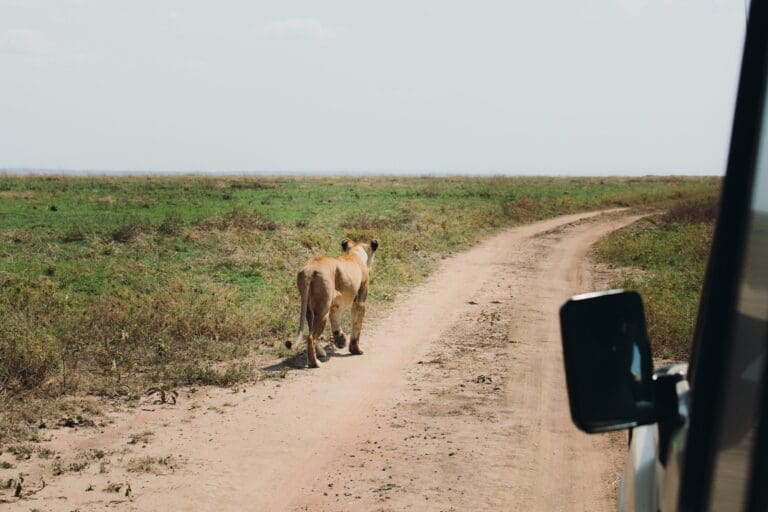 Tanzania Groepsreis - Safari Groepsreis - Afrika Groepsreis - Tanzania Lodges - Tanzania rondreis