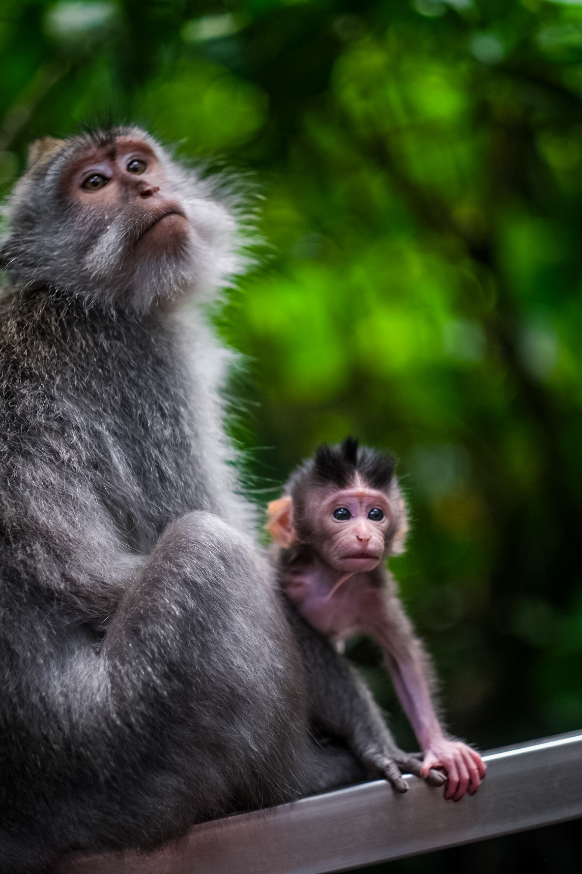 Groepsreis Bali - Beste reistijd Bali - Beste periode Bali - Doorreis Bali - Nusa Penida - Gili Islands - Gili Trawangan - Natuur in Bali - Vakantie in Bali - Beste reistijd Bali - Klimaat Bali