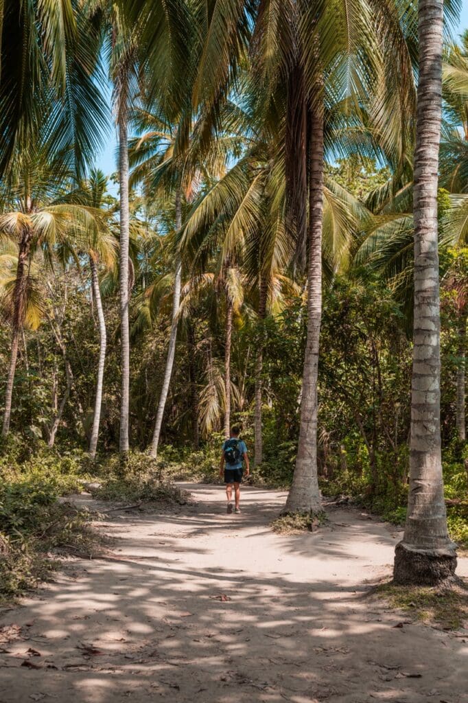 groepsreis colombia - rondreis colombia - cocora valley colombia - weadventures colombia