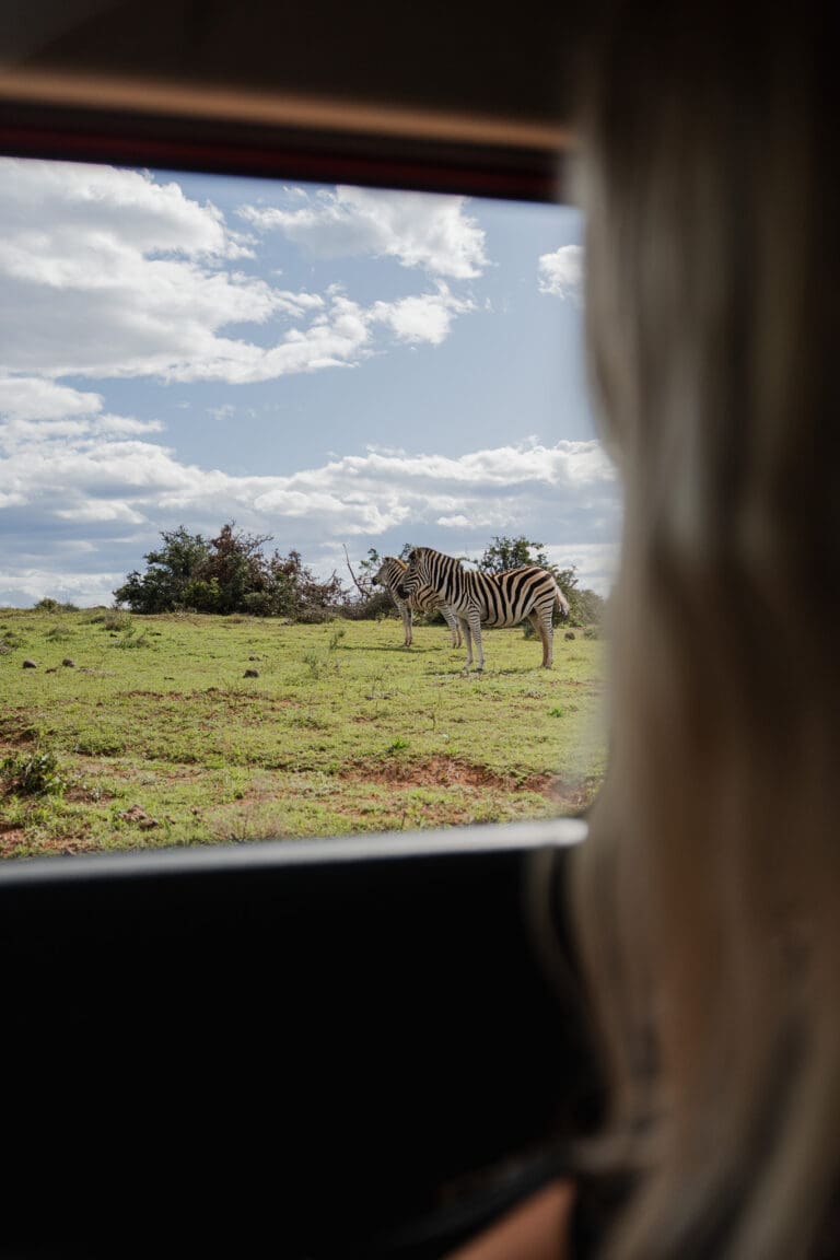 Groepsreis Zuid-Afrika - Rondreis Zuid-Afrika - Zuid-Afrika Soloreis