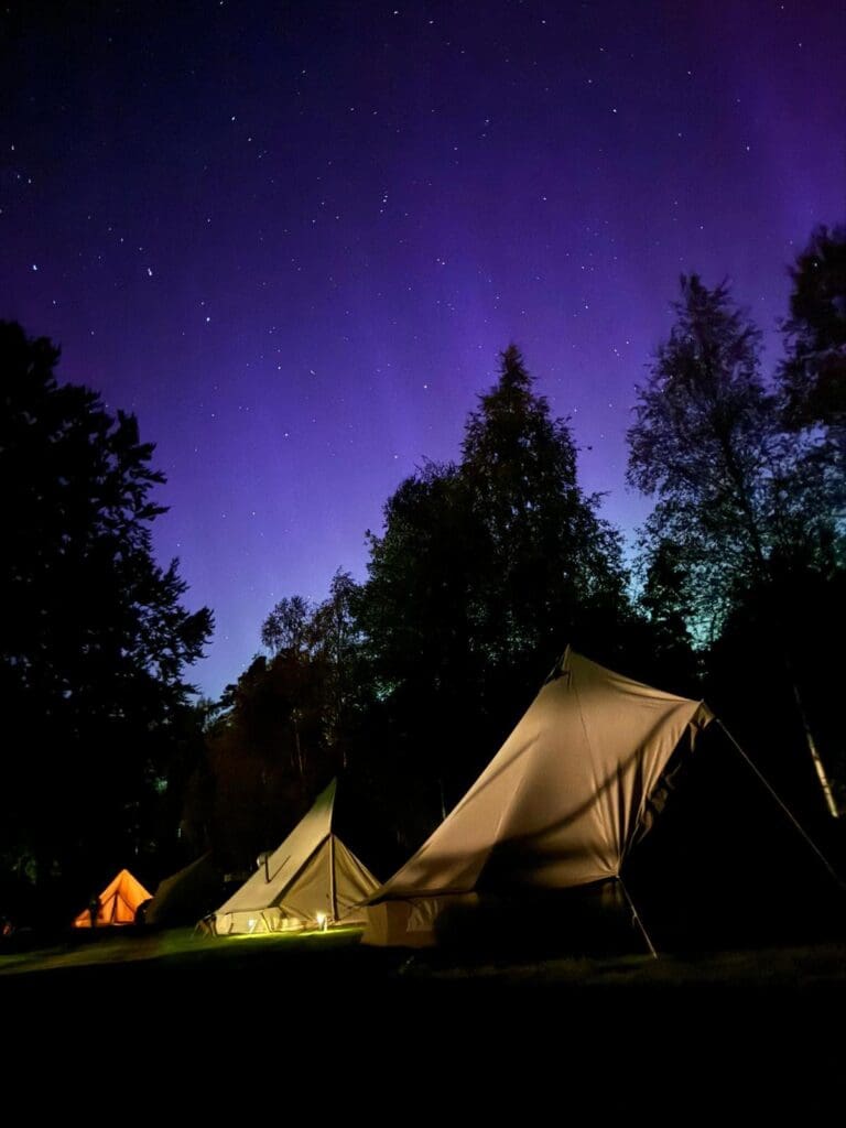 Groepsreis Nordic Woods - Groepsreis Glamping Zweden - Groepsreis glamping - Groepsreis Zweden