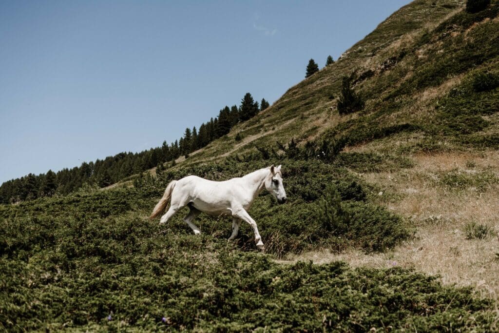 Groepsreis Balkan - Rondreis Balkan - Wandelreis Balkan - Trektocht Balkan