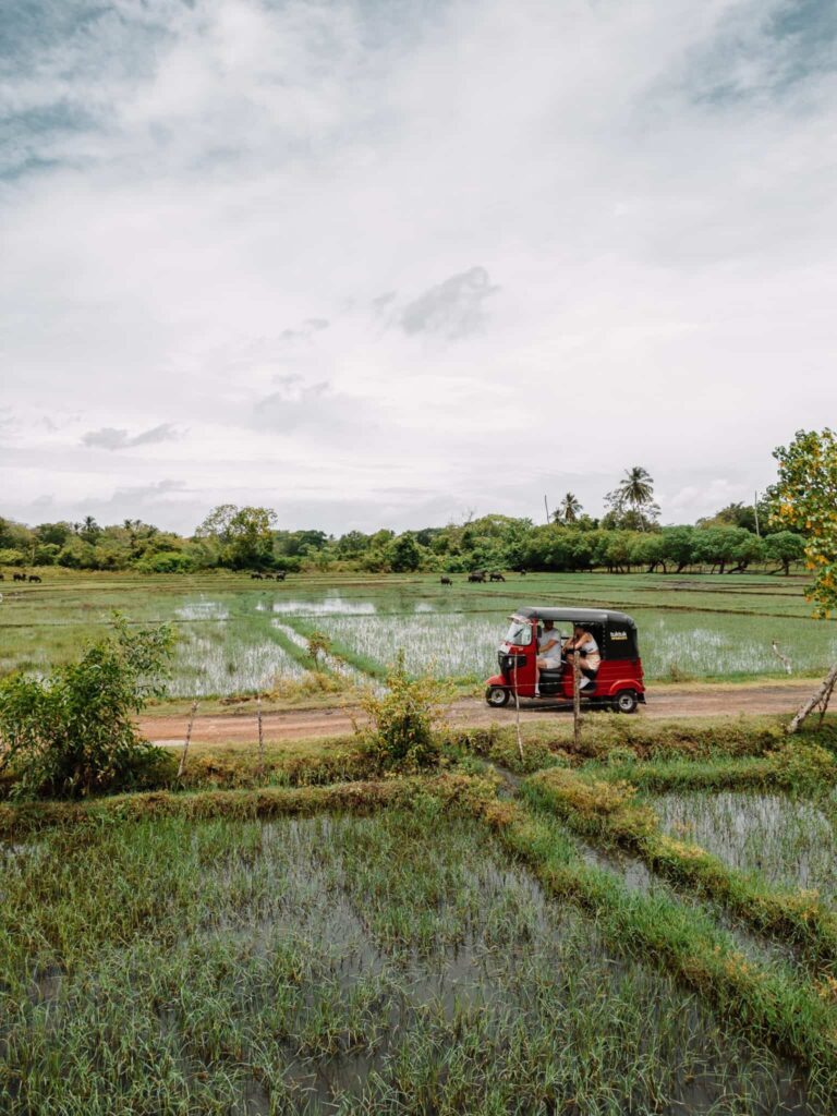 Groepsreis Sri Lanka - rondreis sri lanka - beste reistijd sri lanka