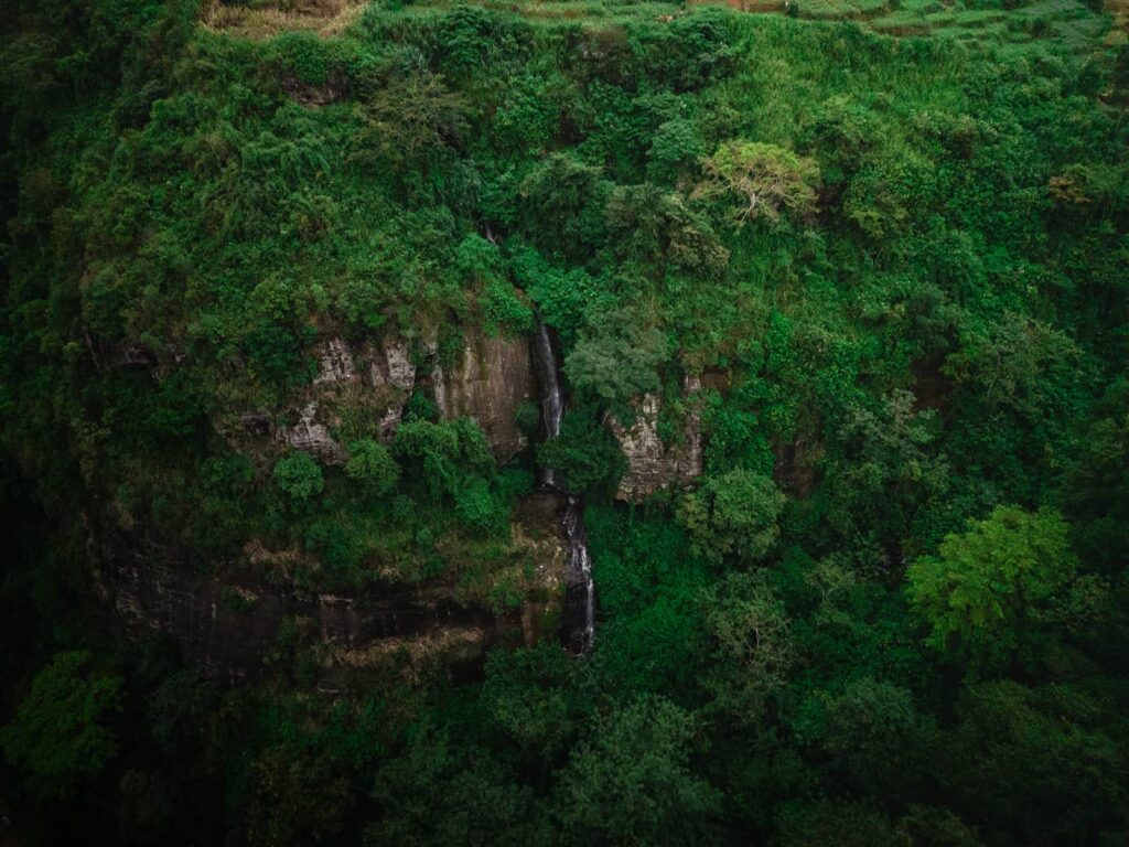 Groepsreis Sri Lanka - rondreis sri lanka - beste reistijd sri lanka