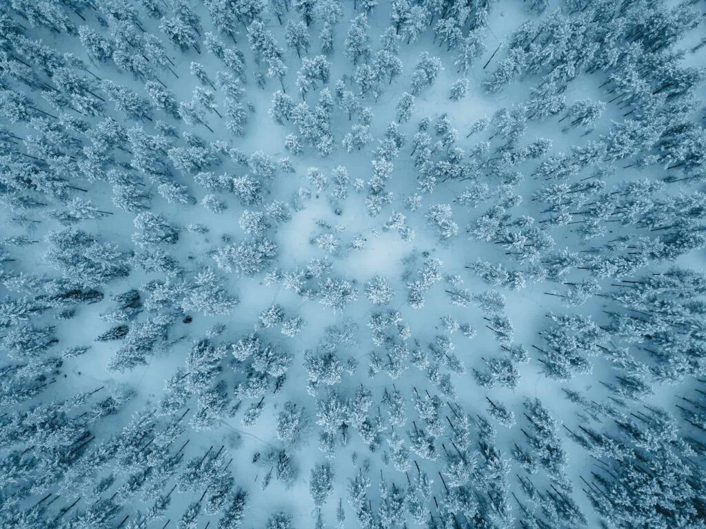 Groepsreis Lapland - natuur